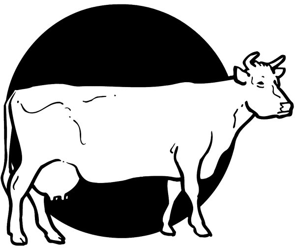 Milk cow in front of full moon vinyl sticker. Customize on line.      Animals Insects Fish 004-1011  